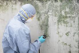 Best Biohazard Mold Removal in Perryopolis, PA